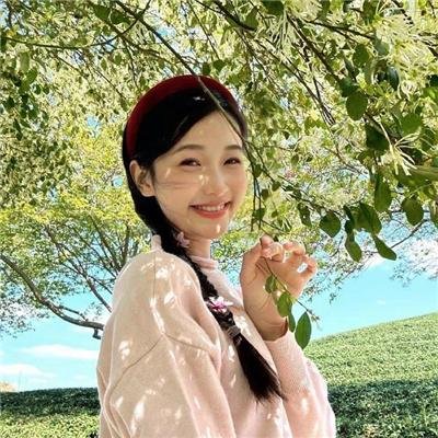 凤皇传